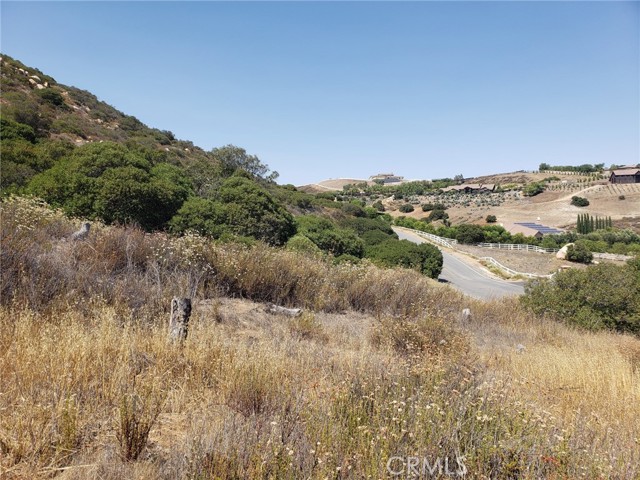 Detail Gallery Image 8 of 20 For 8 via Vista Grande, Murrieta,  CA 92562 - – Beds | – Baths