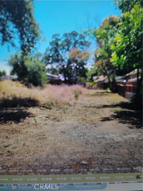 Front Image Thumbnail for CRIG26144616