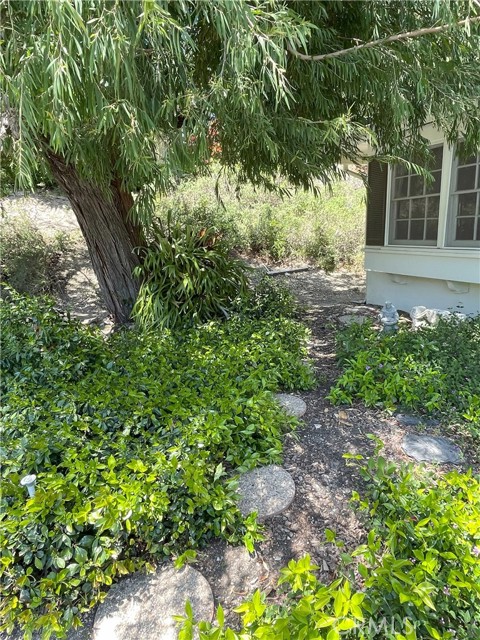 Front side yard