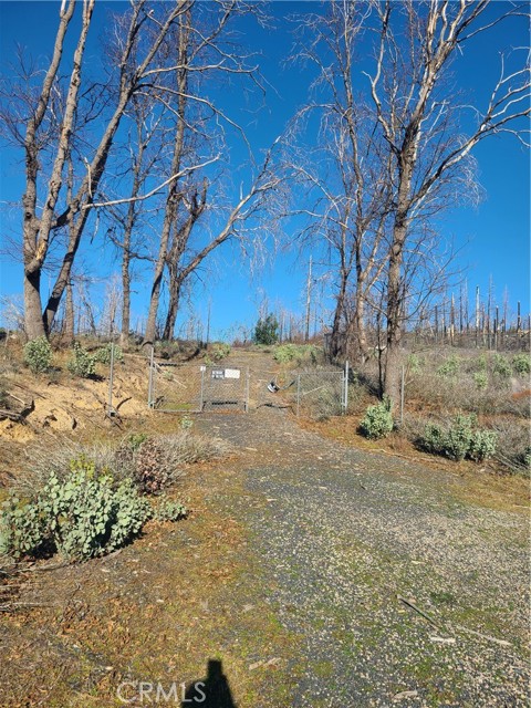 Front Image Thumbnail for CROR26023199