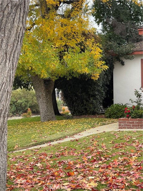 Butte Street in Autumn