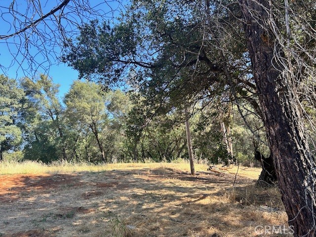 Detail Gallery Image 12 of 21 For 1403 Forbestown, Oroville,  CA 95966 - – Beds | – Baths