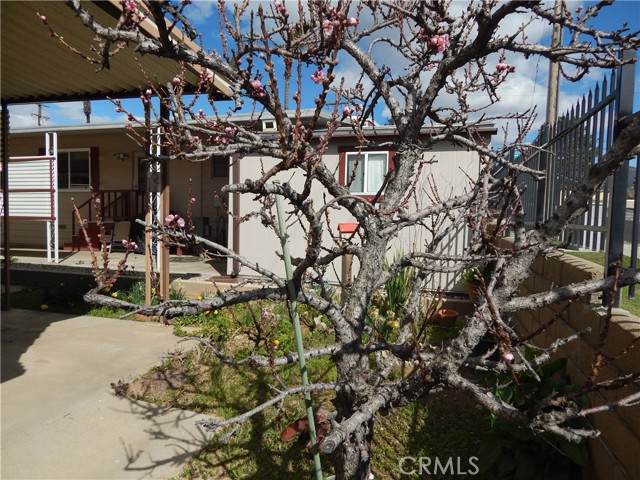 Detail Gallery Image 42 of 48 For 35218 Fir Ave #2,  Yucaipa,  CA 92399 - 2 Beds | 2 Baths