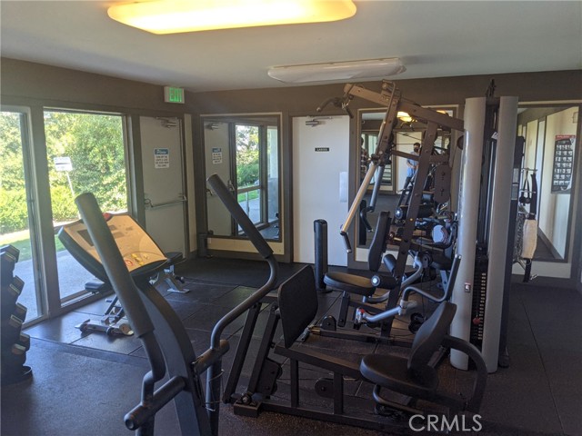 free weights and lots of gym equipment