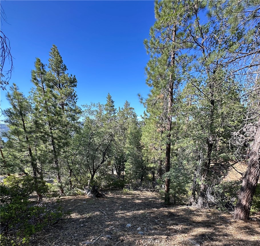 MLS #CV25165230 image #7