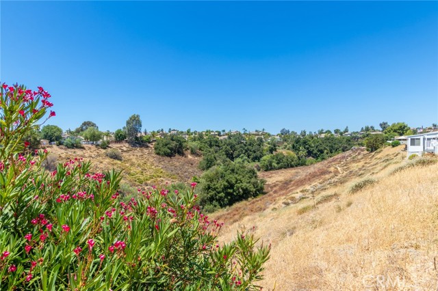 Detail Gallery Image 31 of 41 For 38079 via La Colina, Murrieta,  CA 92563 - 3 Beds | 2 Baths