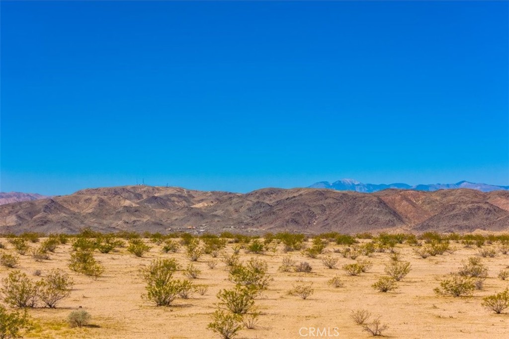 MLS #JT25225678 image #20