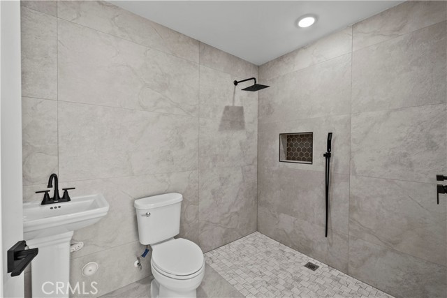 16360 Parthenia photo 16