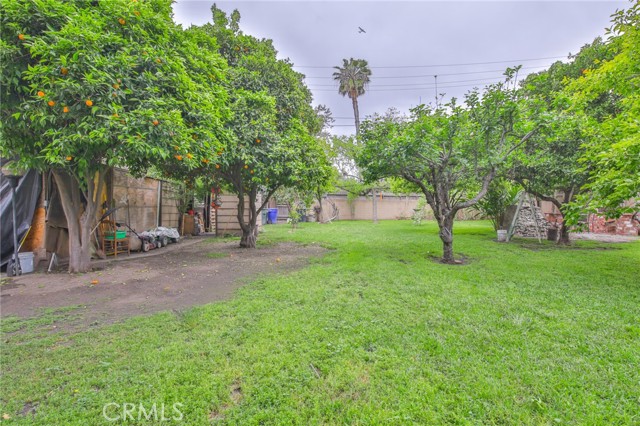 1727 Westwood Place, Pomona CA: https://media.crmls.org/medias/759b7cda-55a7-4e8b-bc58-4ffdee4c58e1.jpg