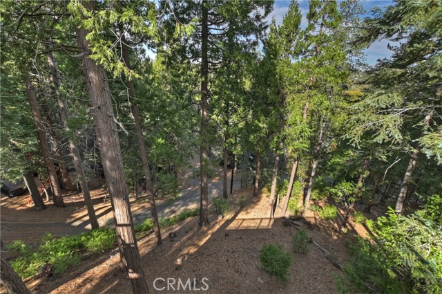 Detail Gallery Image 48 of 60 For 27276 Grizzly Ln, Lake Arrowhead,  CA 92352 - 4 Beds | 2 Baths