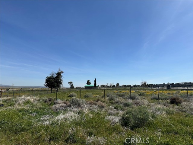49818 290th W, Lancaster CA: https://media.crmls.org/medias/75a6326f-b8f7-4c6b-a195-14099d8b3fee.jpg