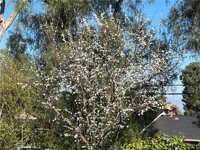 Detail Gallery Image 3 of 74 For 2 Chuckwagon Rd, Rolling Hills,  CA 90274 - 3 Beds | 2/1 Baths