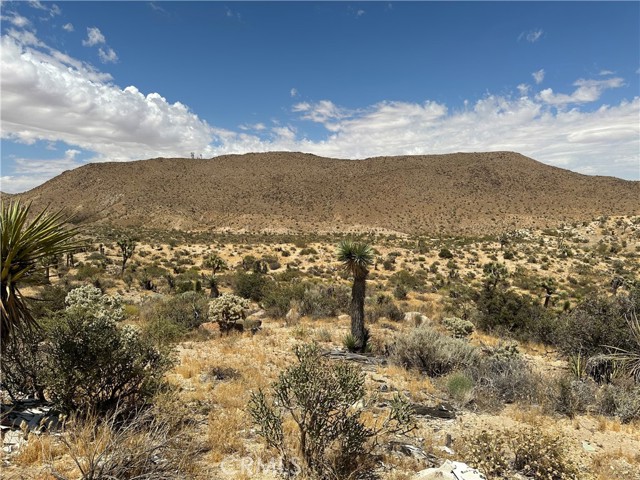 2468 Prescott Ave, Yucca Valley, California 92284, ,Land,For Sale,2468 Prescott Ave,CRJT23106184