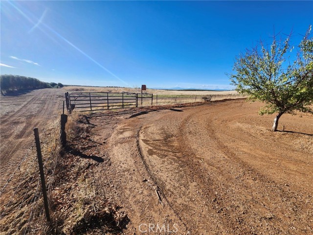 Front Image Thumbnail for CRSN25269116