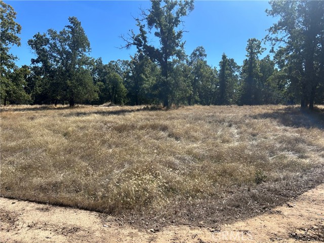 Detail Gallery Image 7 of 20 For 1000 Eva Way, Lakeport,  CA 95453 - – Beds | – Baths