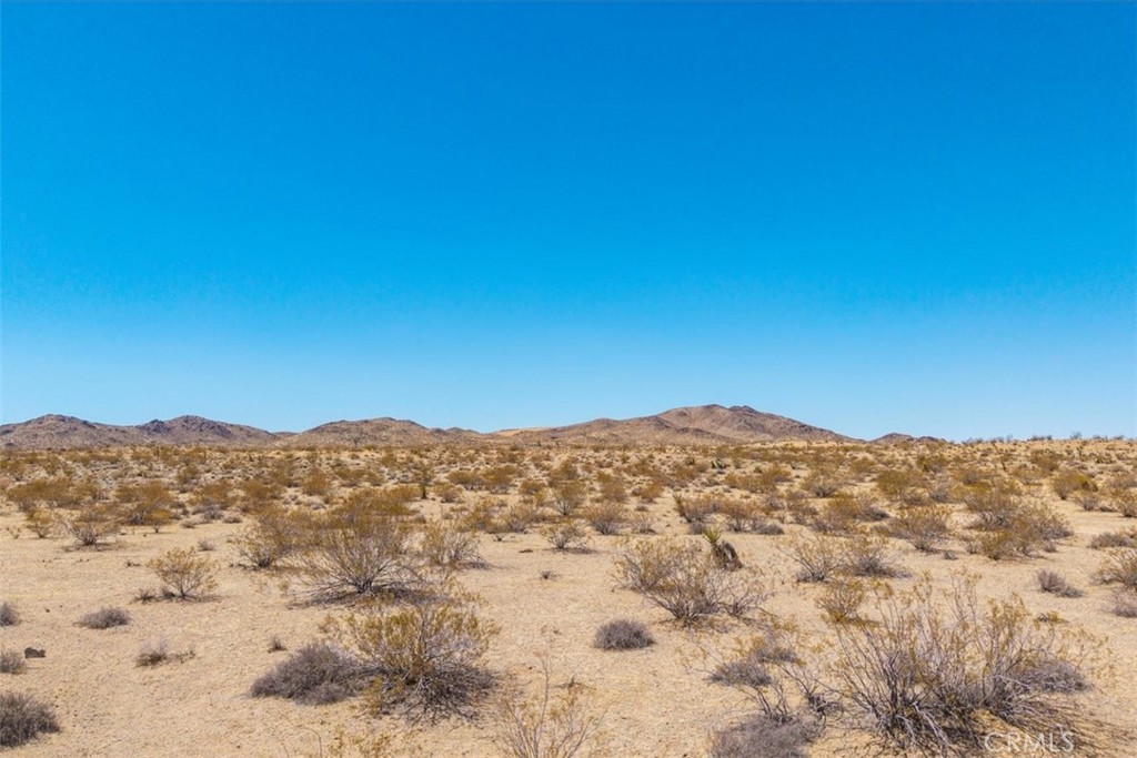 MLS #JT25173166 image #12