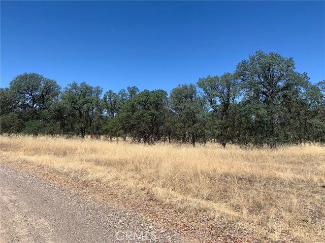 19810 Siesta, Red Bluff, CA, 96080 19810 Siesta, Red Bluff, CA, 96080