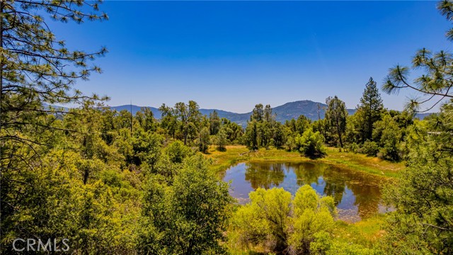 Detail Gallery Image 53 of 59 For 47457 Road 620, Oakhurst,  CA 93644 - 4 Beds | 3 Baths