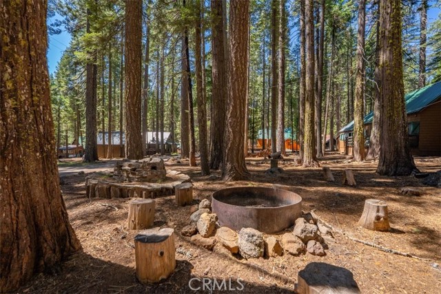 Detail Gallery Image 20 of 24 For 18129 Elm Way, Mill Creek,  CA 96061 - 2 Beds | 2 Baths
