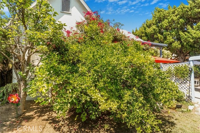 2270 E Orange Grove Boulevard, Pasadena CA: https://media.crmls.org/medias/75cceec8-2da4-48ec-aaab-0e2fcfc99411.jpg