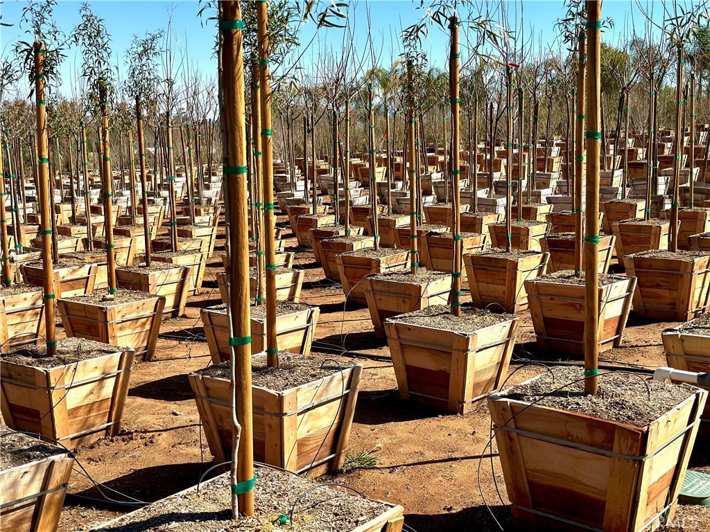 MLS #IV25035655 image #24