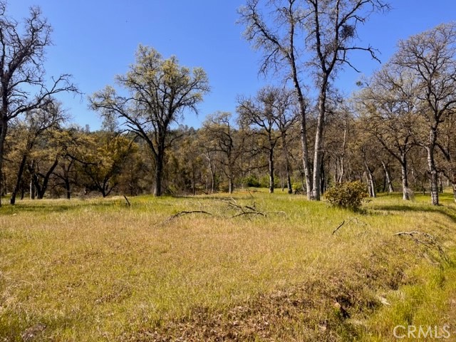 160 Guadalupe Creek Rd., Mariposa, CA, 95338 160 Guadalupe Creek Rd., Mariposa, CA, 95338