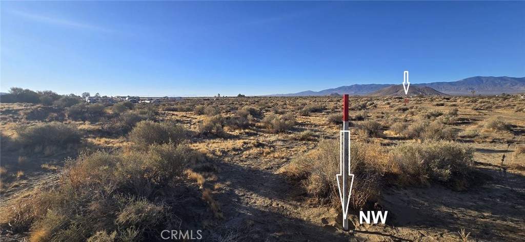 MLS #DW24154757 image #11