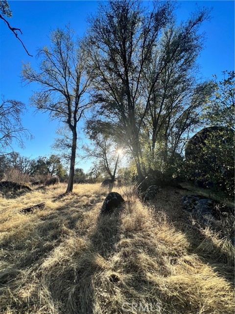 4248 Burl Dr., Mariposa, CA, 95338 4248 Burl Dr., Mariposa, CA, 95338