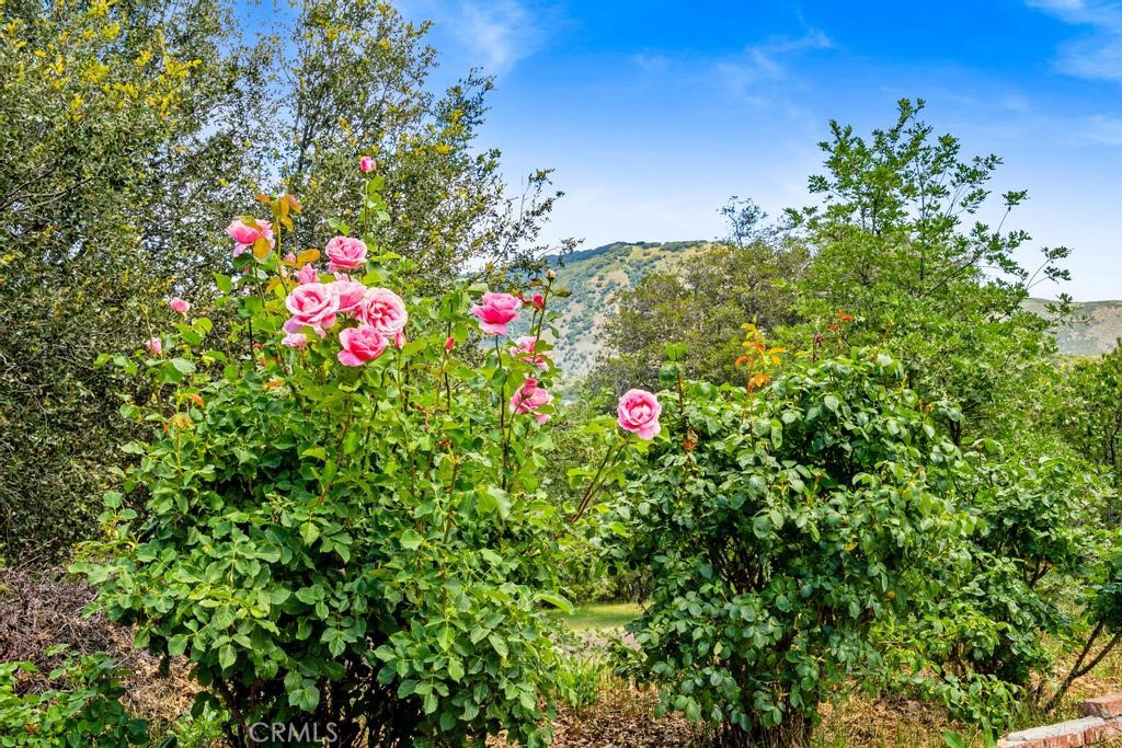 https://media.crmls.org/medias/75e83df3-20d3-4d59-a861-185b35be01f3.jpg?preset=X-Large