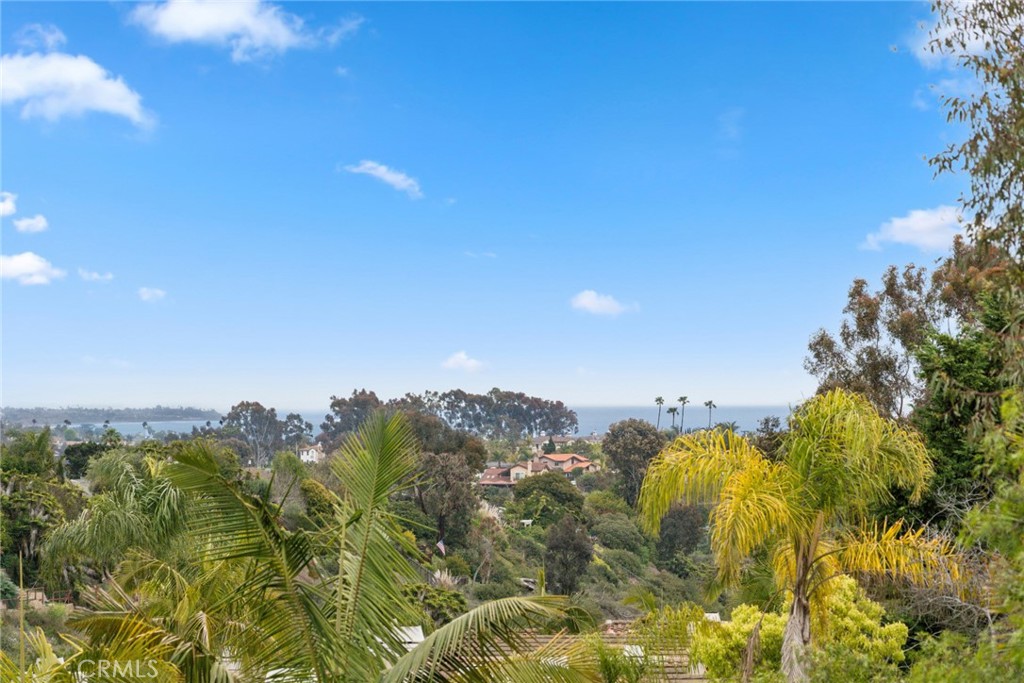 MLS #OC25086692 img 1