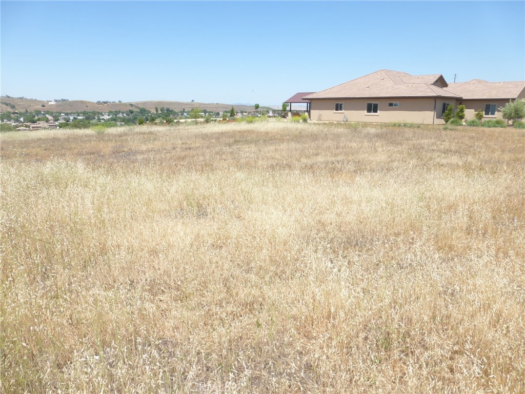 13105 River Bluffs (Lot 4) Lane