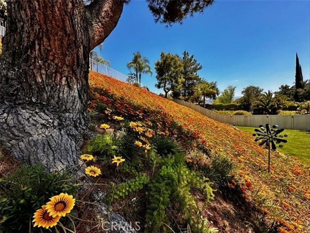 Detail Gallery Image 11 of 62 For 7743 Gold Buckle Ct, Highland,  CA 92346 - 4 Beds | 3 Baths