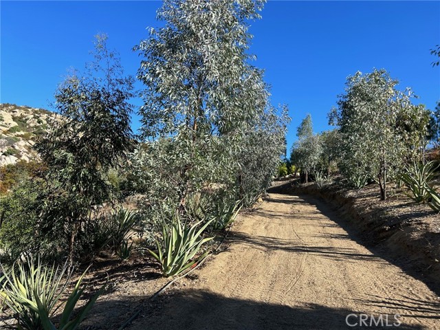 Detail Gallery Image 12 of 74 For 48660 Sycamore Falls Rd, Aguanga,  CA 92536 - – Beds | – Baths