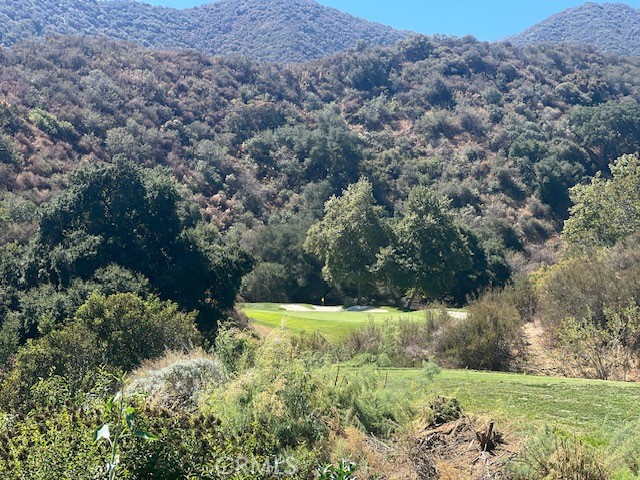 Detail Gallery Image 16 of 19 For 23833 Fawnskin Dr, Corona,  CA 92883 - 3 Beds | 3 Baths