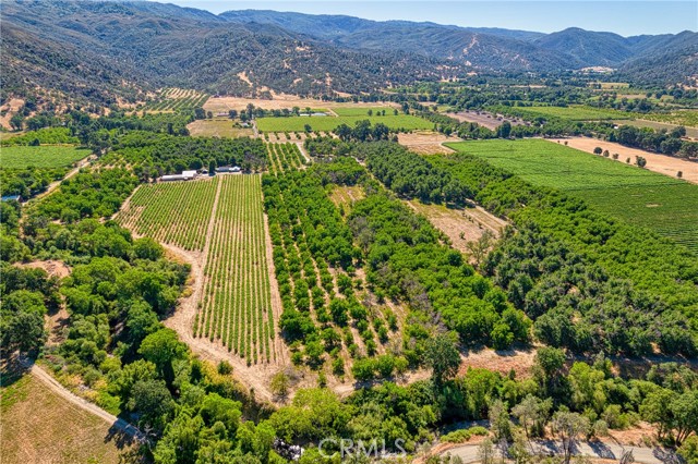 Detail Gallery Image 65 of 69 For 10905 Elk Mountain Rd, Upper Lake,  CA 95485 - 3 Beds | 2 Baths