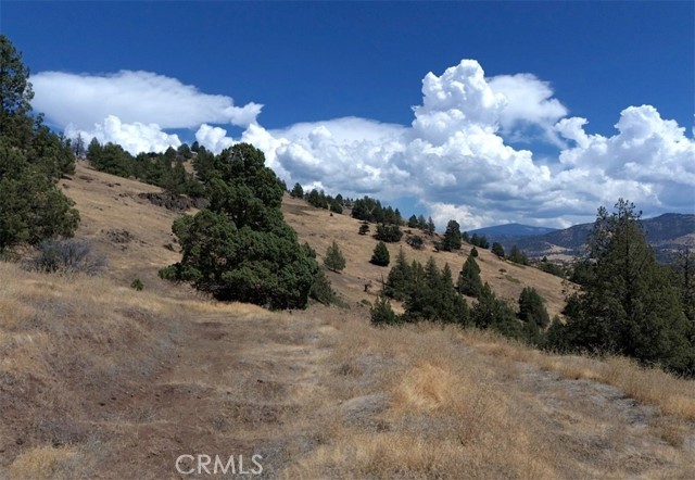 Detail Gallery Image 11 of 24 For 0 Erick Ln, Montague,  CA 96064 - – Beds | – Baths