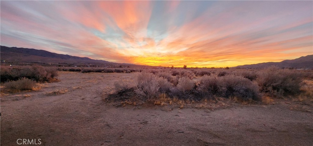 MLS #IV25049226 img 4