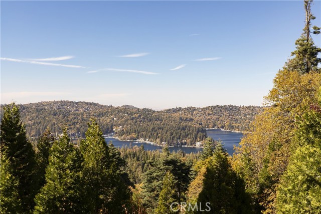 Detail Gallery Image 3 of 47 For 654 S Cumberland, Lake Arrowhead,  CA 92352 - 5 Beds | 5 Baths