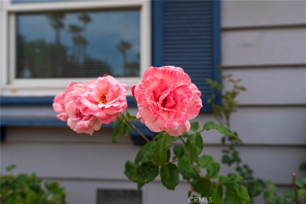 https://media.crmls.org/medias/75fa6064-eca3-487b-98e2-9ef94f17dc95.jpg?preset=X-Large