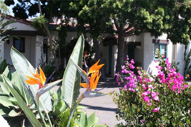243 Avenida Madrid, San Clemente CA: https://media.crmls.org/medias/76035b3e-d1ef-4822-836c-636ed4946fae.jpg