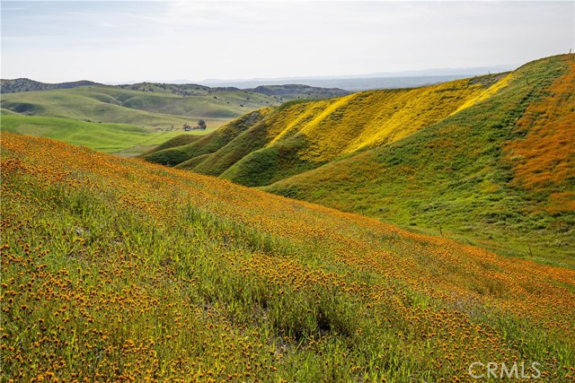 0 S Gillis Canyon, Shandon, CA, 93461 0 S Gillis Canyon, Shandon, CA, 93461