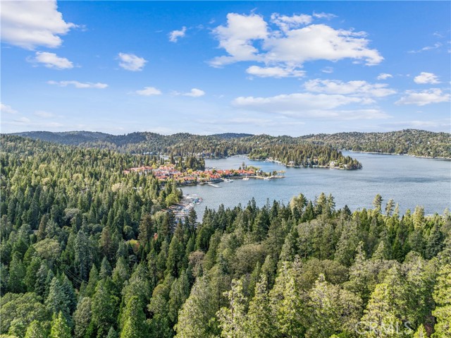 28565 Shenandoah Drive, Lake Arrowhead, CA 92352