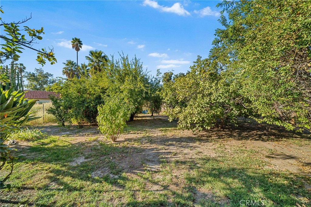 MLS #OC25251780 image #12