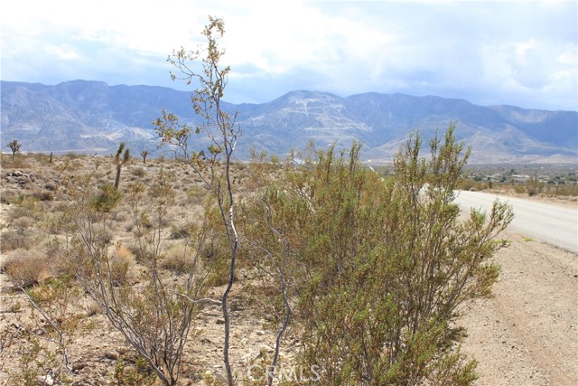 769 Meridian Road, Lucerne Valley CA: https://media.crmls.org/medias/760c7bf2-cc7d-40b1-9c3c-c6532d09dede.jpg