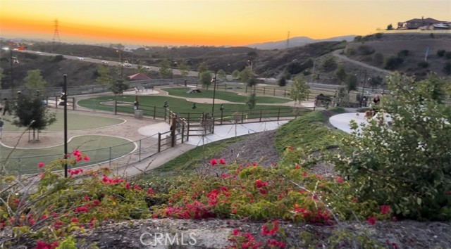 Dog Parks
