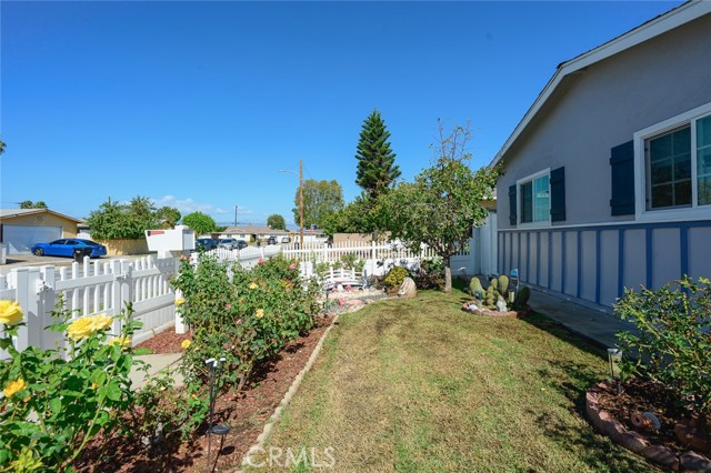 2118 Cantaria photo 24