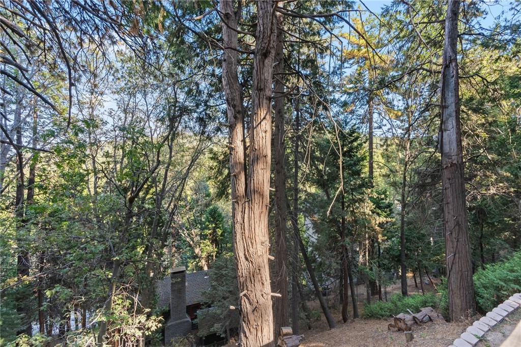 https://media.crmls.org/medias/761a2fa0-71a1-45dc-820e-745b7aefb9de.jpg?preset=X-Large