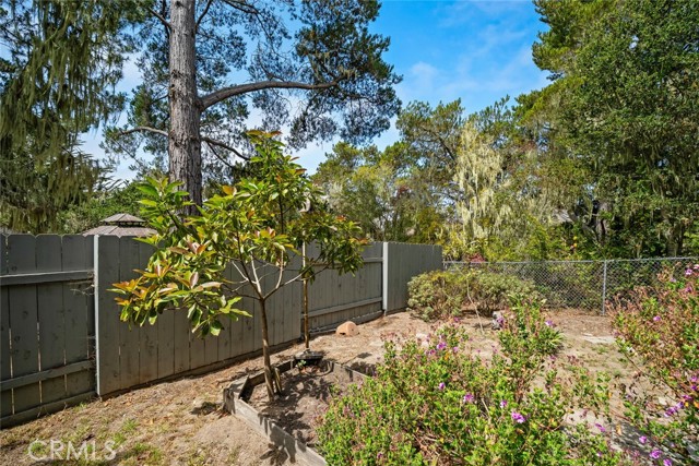 936 Northampton Street, Cambria CA: https://media.crmls.org/medias/761d3da7-b932-430e-ab15-4c34f5f4ed5c.jpg