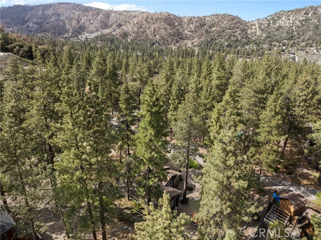 Detail Gallery Image 38 of 39 For 993 Partridge Rd, Wrightwood,  CA 92397 - 2 Beds | 2 Baths