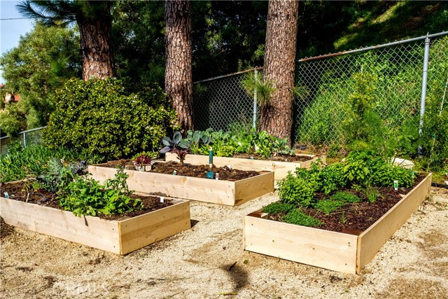 lovely garden beds ready for harvesting!